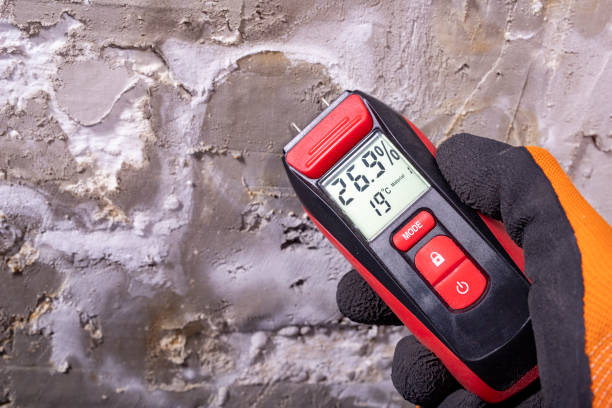 Best Mold Remediation for Specific Building Types in St James, MO