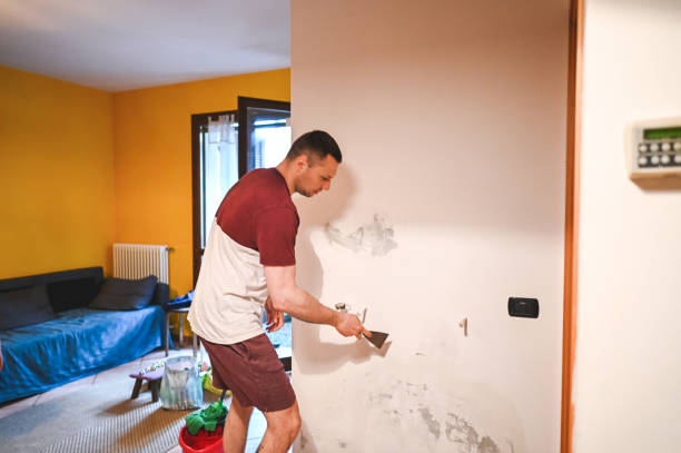 Best Emergency Mold Remediation in St James, MO
